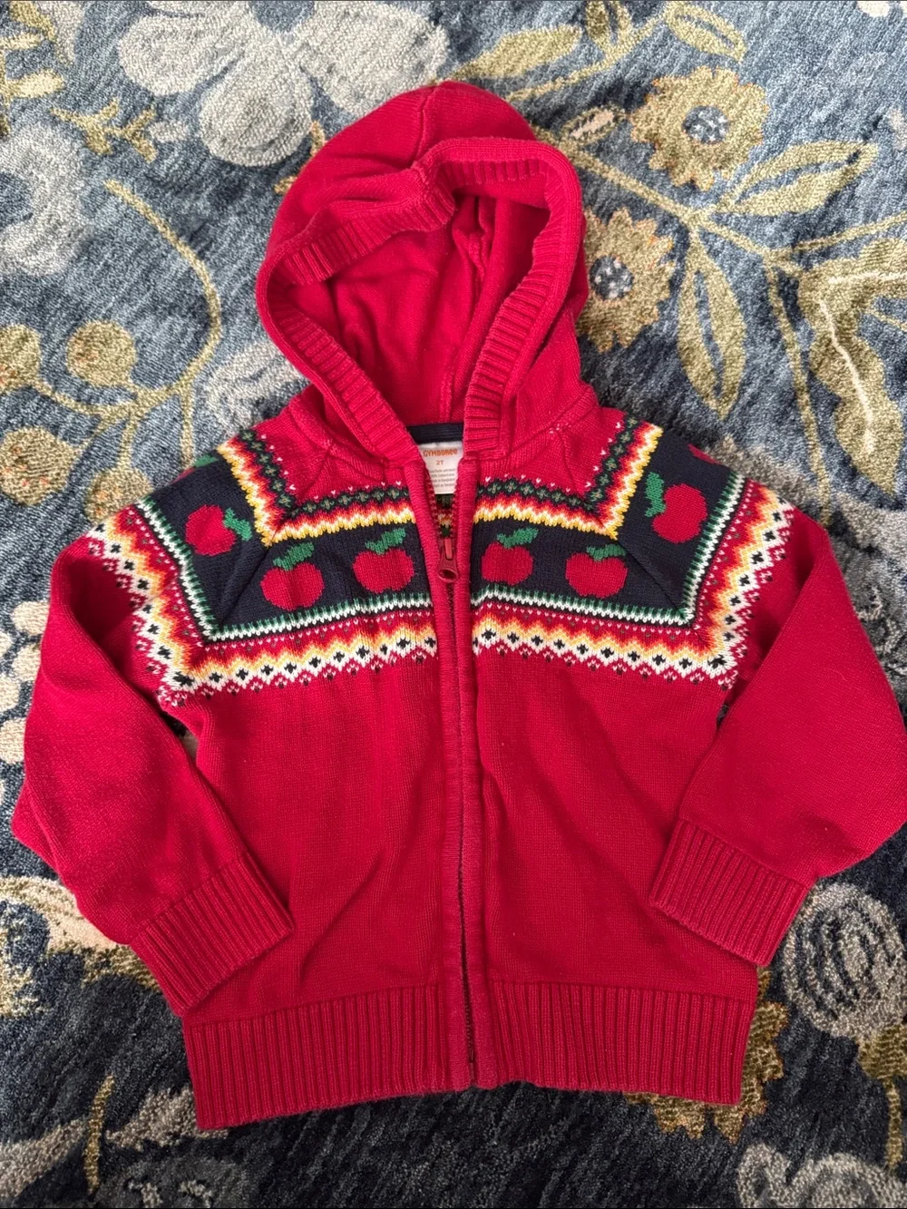 Bundle of 2 Gymboree Autumn/Fall Sweaters